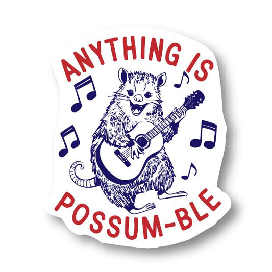 Anything is Possum-ble Possum Banjo Fridge Magnet Refrigerator Magnets HOUSE OF SWANK