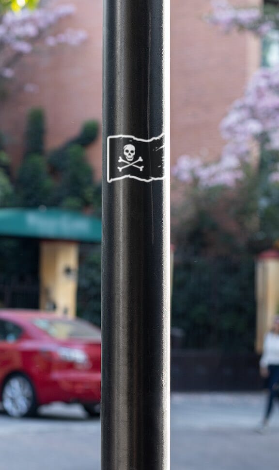 Jolly Roger Pirate Sticker - Decorative Stickers - House of Swank Raleigh NC