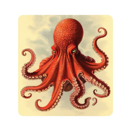 Kraken Octopus Sticker Decorative Stickers HOUSE OF SWANK