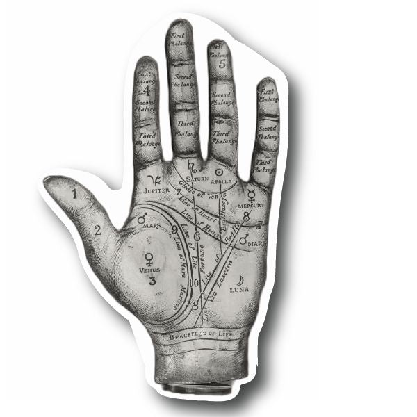 🔮 Palm Reader Palmistry Sticker – Mystical Fortune Telling Vinyl Decal 🔮 Decorative Stickers HOUSE OF SWANK