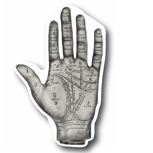 🔮 Palm Reader Palmistry Sticker – Mystical Fortune Telling Vinyl Decal 🔮 Decorative Stickers HOUSE OF SWANK