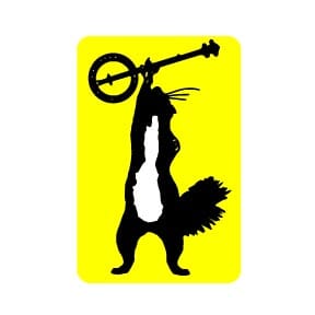 Squirrel Banjo Magnet Refrigerator Magnets HOUSE OF SWANK